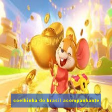 coelhinha do brasil acompanhante